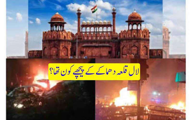 لال قلعہ دھماکے پر اقوام متحدہ کا بڑا انکشاف، القاعدہ کی برصغیر شاخ اے کیو آئی ایس سے حملے کا تعلق سامنے آگیا